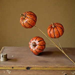 Orange Pumpkin Stem 1