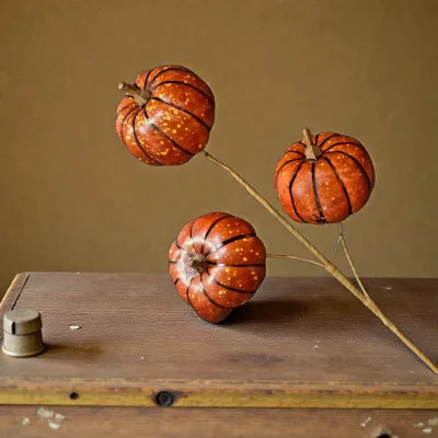 Orange Pumpkin Stem