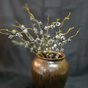 Dried Eucalyptus Stem 1