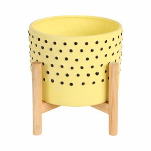COLECREST YELLOW PLANTER 9 (IN) 1