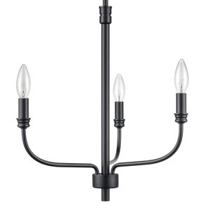 Newland 17'' Wide 3-Light Chandelier - Matte Black 4