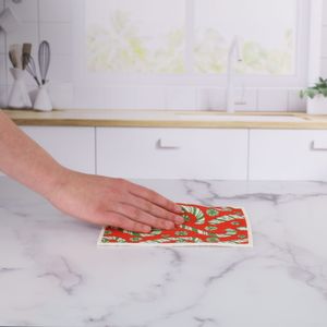 Candy Cane Joy blu Eco Sponge Cloths (Set of 2) 3