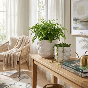 DRAPEROAK SET OF 2 IVORY PLANTER 10 (IN) 2
