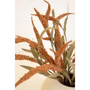 Botanica #9071 4