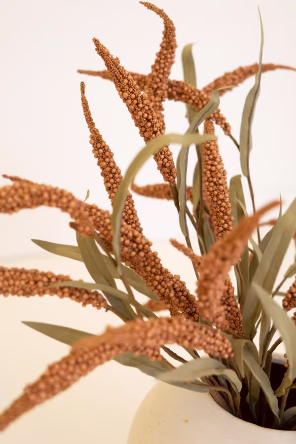 Botanica #9071