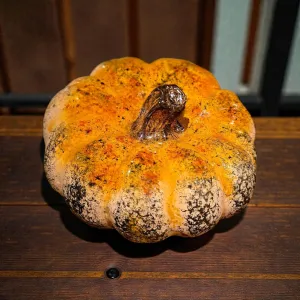 Heirloom Harvest Pumpkin 7x7x4in 1