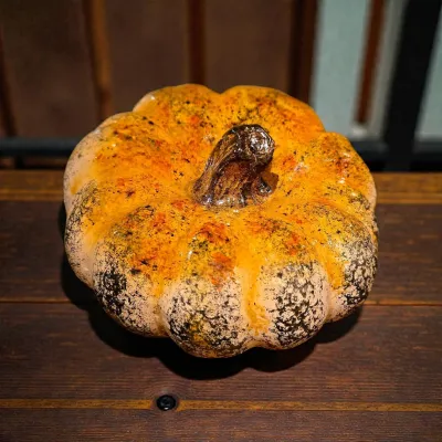 Heirloom Harvest Pumpkin 7x7x4in