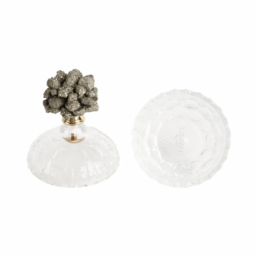 REXROSE CLEAR JAR 7 (IN)