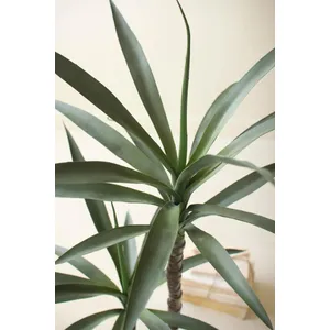 Artificial Heneken Plant with Faux Terracotta Pot 2