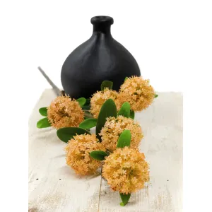 Yellow Allium 31in 1