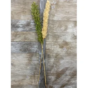 Green Avana Grass 39in 4