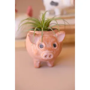 Set of 4 Farm Animal Planters 4