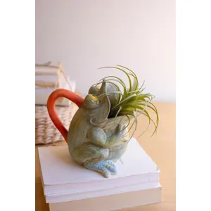 Ceramic Frog Pitcher Vase 5