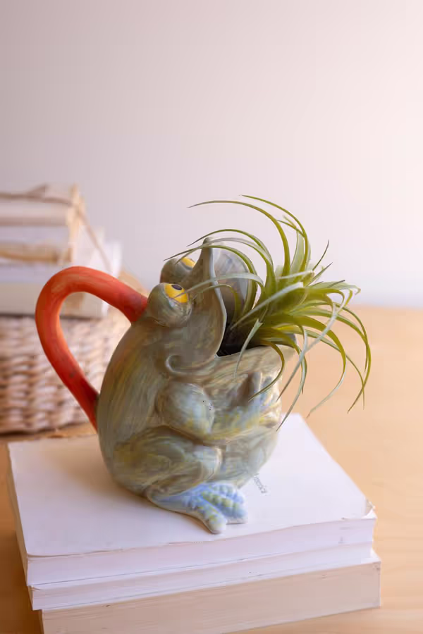 Ceramic Frog Pitcher Vase