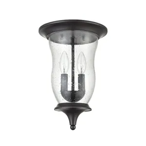 Trinity 9'' Wide 2-Light Outdoor Flush Mount - Oil Rubbed Bronze 2