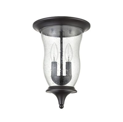 Trinity 9'' Wide 2-Light Outdoor Flush Mount - Oil Rubbed Bronze