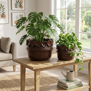 FALLONRUN SET OF 2 BROWN PLANTER 7 (IN) 8