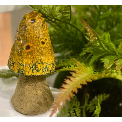 Yellow Morel 2x4.5in