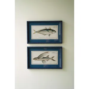 Set of 2 Navy Framed Fish Prints under Glass 1