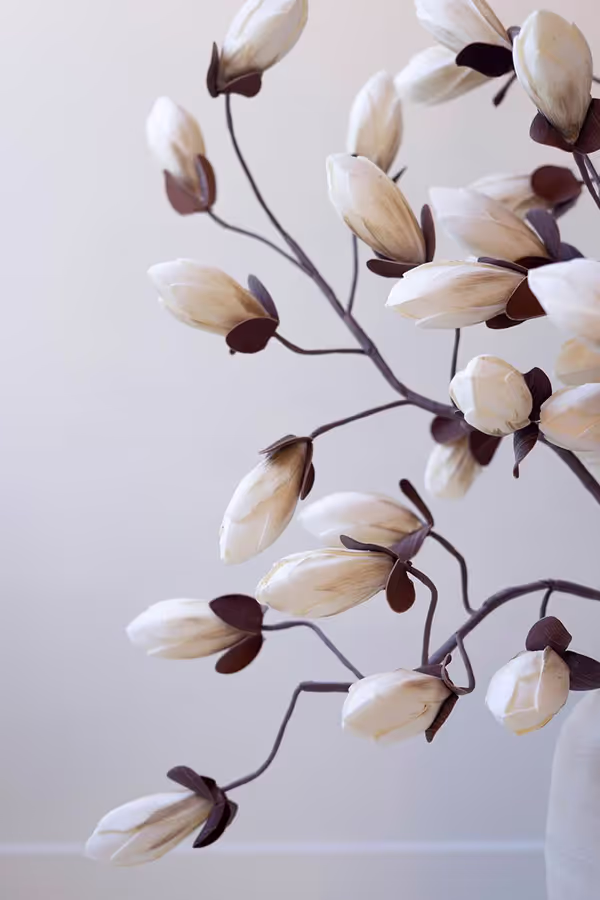Botanica #2716