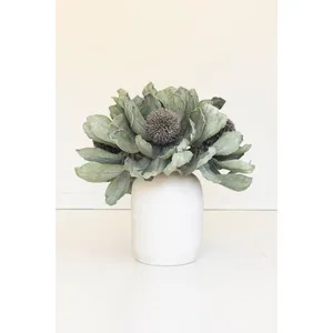Botanica #3689 2