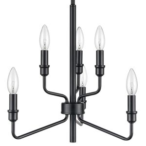 Saginaw 18'' Wide 6-Light Chandelier - Matte Black 4