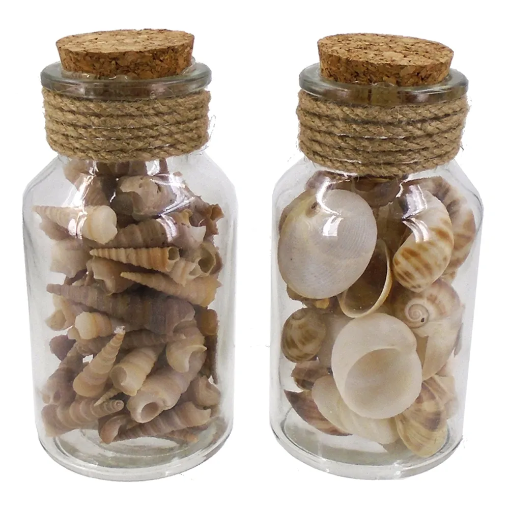 5" BOTTLE SHELLS 2-ASST