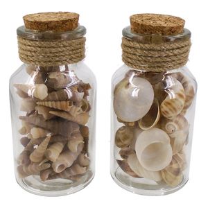5" BOTTLE SHELLS 2-ASST 1