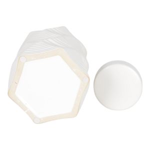 DUNCANPORT SET OF 2 WHITE JARS 13 (IN) 8