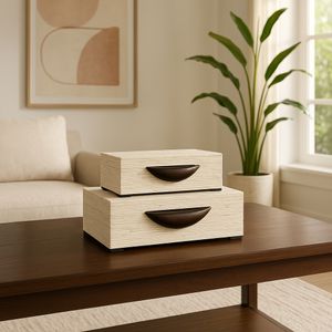 DIXONLEY SET OF 2 IVORY BOXES 4 (IN) 13