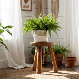 FALLONRUN IVORY PLANTER 5 (IN) 11
