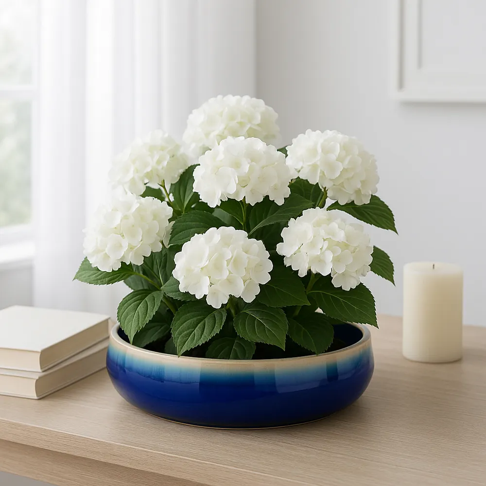 HANLEYPORT BLUE PLANTER 4 (IN)