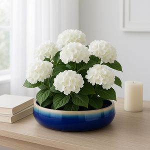 HANLEYPORT BLUE PLANTER 4 (IN) 2
