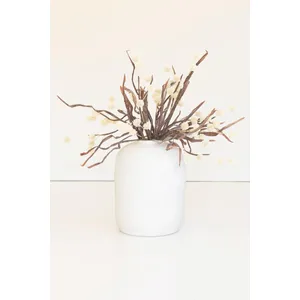 Botanica #2892 2