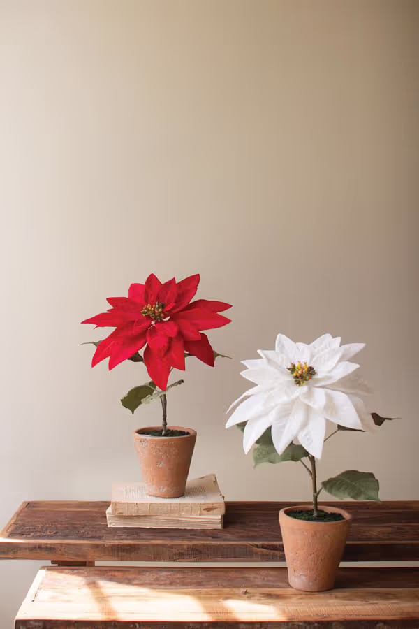 Artificial Poinsettias in a Cement Pot / Red