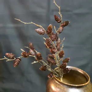 Brown Pinecone Stem 1