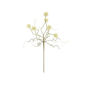 Botanica #2443 1