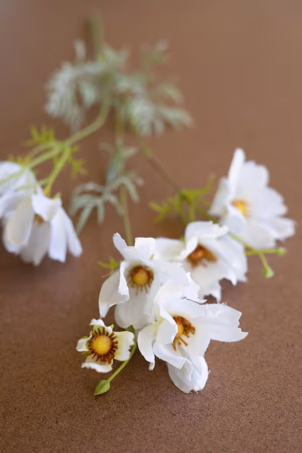 Artificial White Cosmos Spray