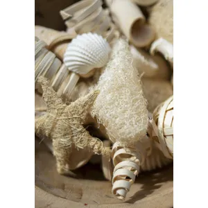 Bag of Coastal Filler 3