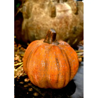 Timeless Autumn Pumpkin 5x5x5in