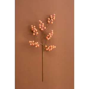 botanica #9020 5