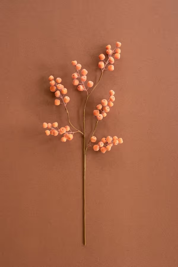 botanica #9020