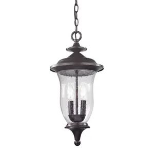 Trinity 9'' Wide 2-Light Outdoor Pendant - Oil Rubbed Bronze 1