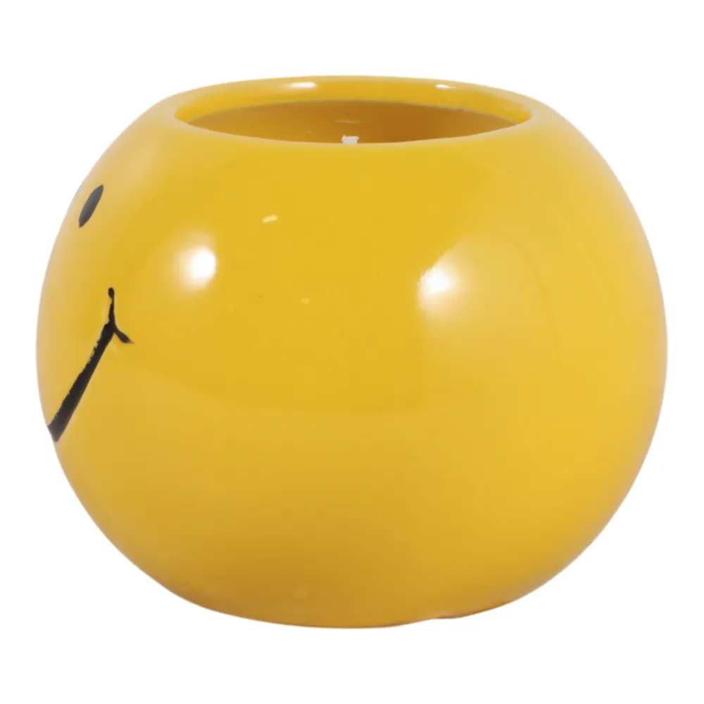 DIXONSTONE COCONUT GOJI SMILEY FACE CANDLE 3 (IN)