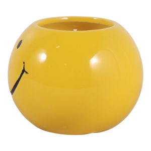 DIXONSTONE COCONUT GOJI SMILEY FACE CANDLE 3 (IN) 6