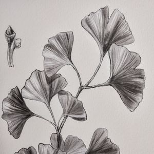 Foliage II Framed Wall Art - Ivory 5