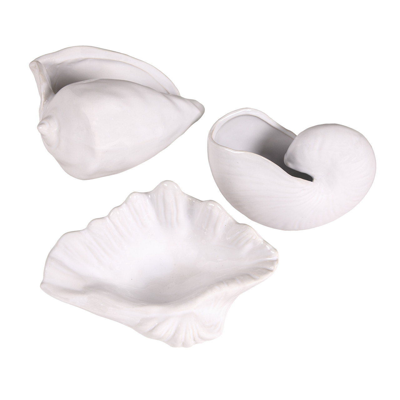 Missouri Shells -Ea 2