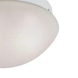Elowen 10'' Wide 2-Light Flush Mount - White 4