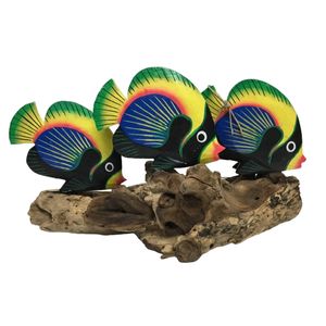 TROPICAL TRIO OF FISH ON DRIFTWOOD 1
