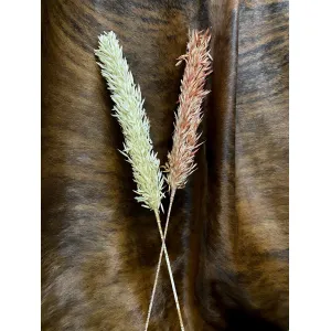 Brown Avana Grass 39in 2